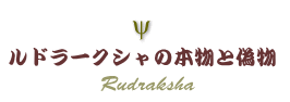 ルドラークシャの本物と偽物