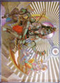 ガネーシャ神ホログラムカード（ポストカードサイズ）